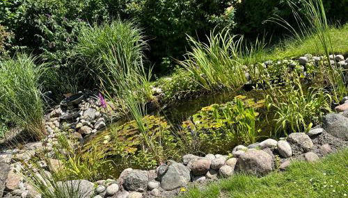 Ferienwohnung Kuderer - Foto 4, Garden