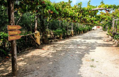 Agriturismo Casa del Contadino - Photo 71