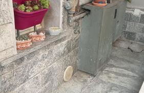 Sally's House - Photo 20