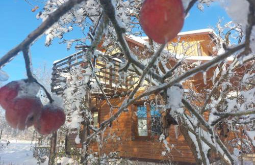 Agroturystka Dom w Owocowym Sadzie - Foto 12