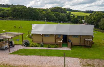 Luxury Safari Lodge-Sleeps 4 6-Deer Park-Dogs Ok - Foto 10