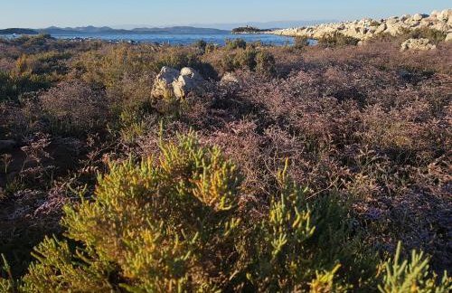 Extra Spacious Seaview Apartments close to the beach, with large terraces and FREE WI-FI & AC & BBQ & parking space - Foto 20