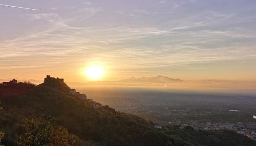 Trebiano a casa dei nonni - Foto 4