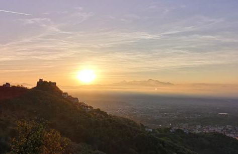 Trebiano a casa dei nonni - Foto 4