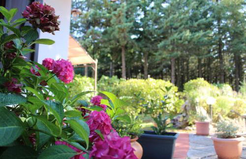 Le Conifere - Foto 13