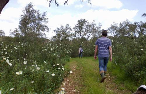 village loft - Foto 12