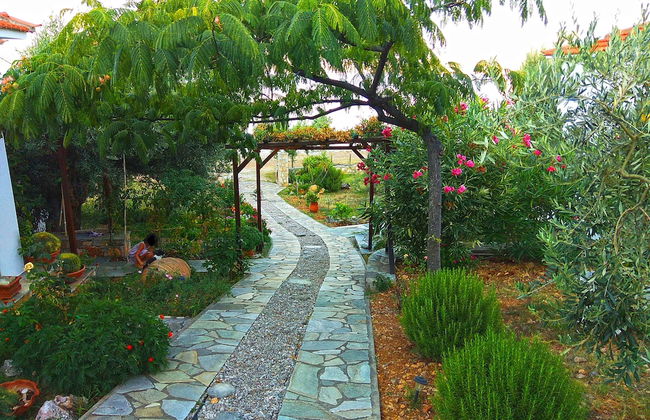 Flower Houses - Foto 37