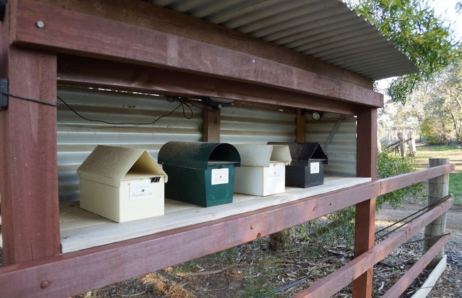 Gisborne Peak Winery Cottages - Foto 41