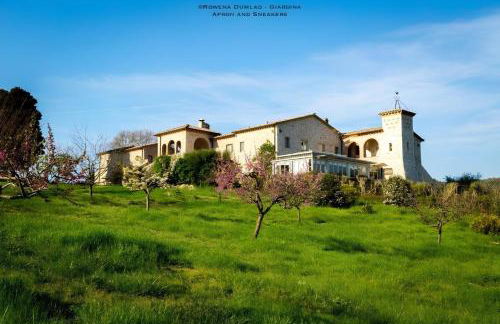 Relais Tenuta del Gallo - Foto 11