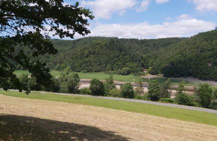 Ferienhaus am Edersee - Foto 11