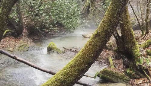 Big Boulder-Hot Tub, WiFi, Firepit, Arcade, Hiking - Foto 4