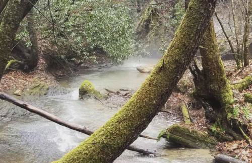 Big Boulder-Hot Tub, WiFi, Firepit, Arcade, Hiking - Foto 4