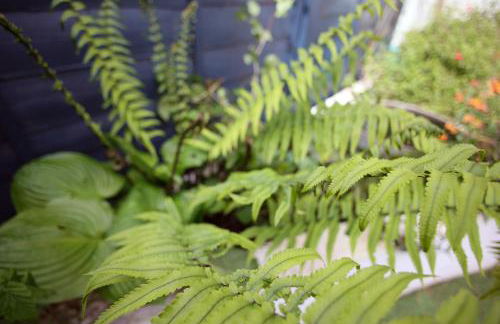 Peaceful Garden Apartment on Roman Road - Foto 19