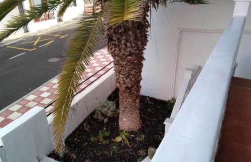 Casa Restinga - Foto 7