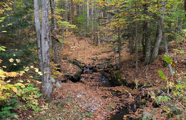 Ski in & out Spruce Glen Townhomes on Great Eastern Trail - Photo 25