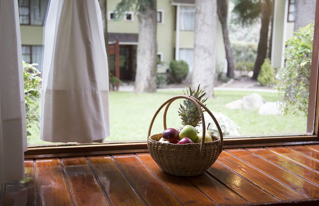 Rincon de los Andes Resort - Foto 25