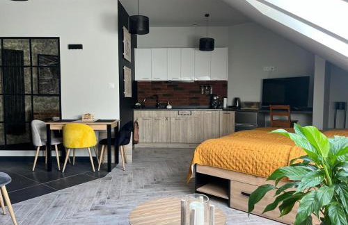 Apartamenty Terminal Charzykowy - Foto 6