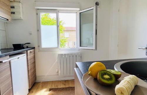 Studio près du Goupama Stadium, Eurexpo, LDLC Arena, La Soie - Foto 8