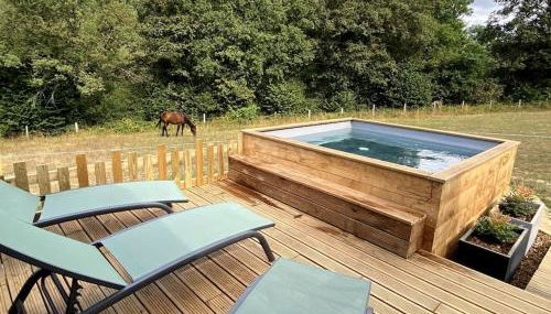 La Cabane du Petit Moulin - Foto 2