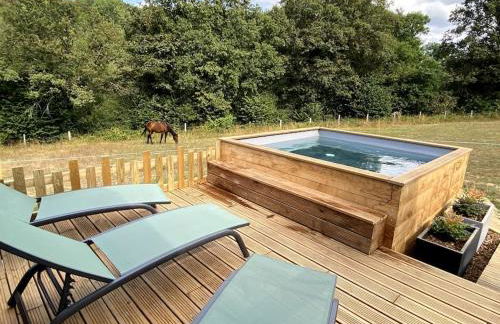 La Cabane du Petit Moulin - Foto 2