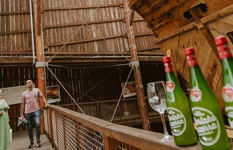 Excursión a Albaola + Visita a una sidrería vasca - Foto 1