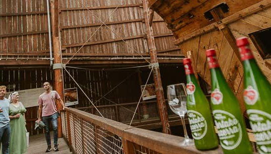 Excursão a Albaola + Visita a uma sidraria basca