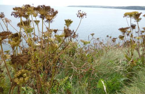 The Old Stables of heritage Tregrehan Garden Cottages on South Coast - Photo 23