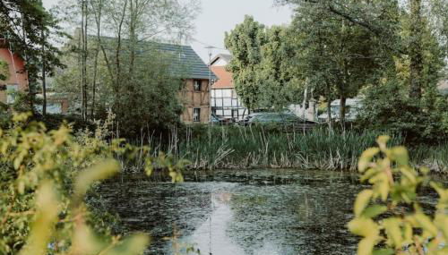 Modernisiertes Fachwerkhaus in Rheinbach bei Bonn - Foto 2