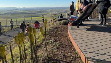 2 bedroom Apartment in wine region - Foto 4