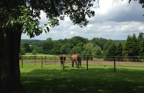Ferienwohnung 1 Hof Flüh - Foto 15