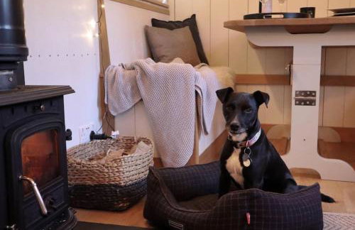 Hut at Nettle and Dock - Foto 16