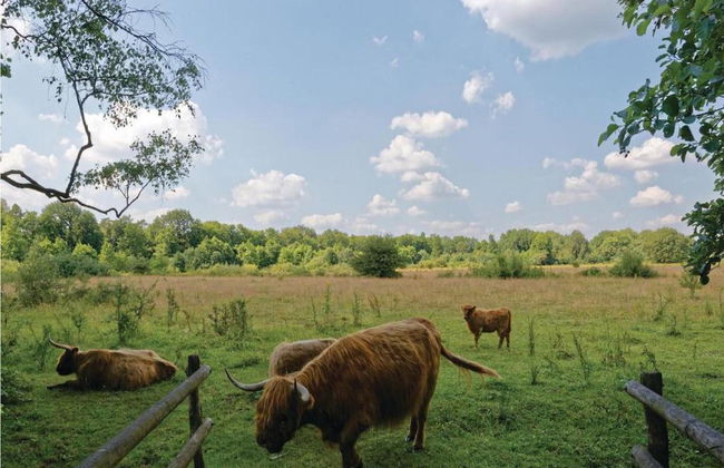 Cozy Forest-edge Home - Foto 36