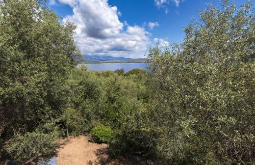 Villa Villa Pavellone by Interhome - Foto 35