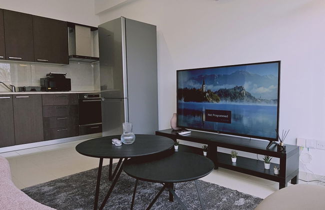 104 NIC - 102 Stay Cosmo City Suite - Photo 16