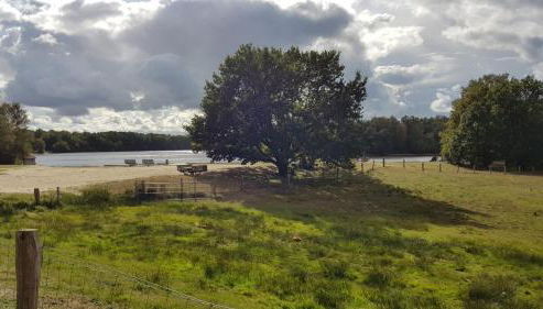 Blockhuus Thüle - Foto 4