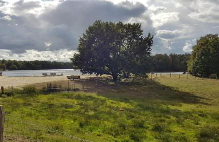 Blockhuus Thüle - Foto 4