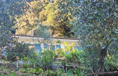 Massaciuccoli Romana - Foto 31