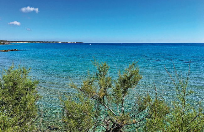 Tenuta Vigna Corallo - Foto 62