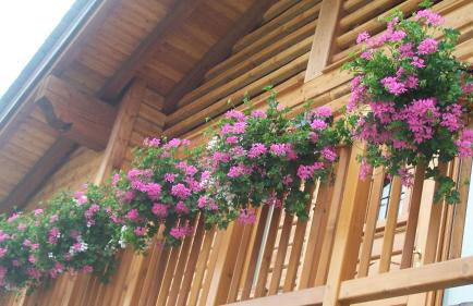 Gresil Residence - Foto 55