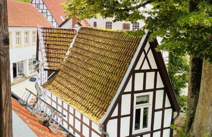 Lateinschule - Foto 9