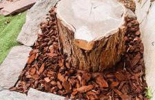 Le gite des Marchis 4 pers cour - Foto 14