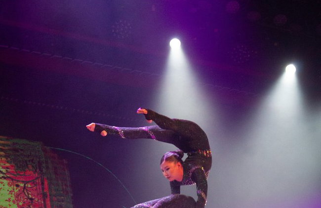 Benidorm Palace - Photo 8
