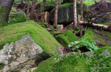 Ferienwohnung GABI - Foto 45