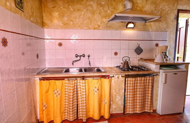 Bellavista farm of Quercini Maurizio - Foto 58