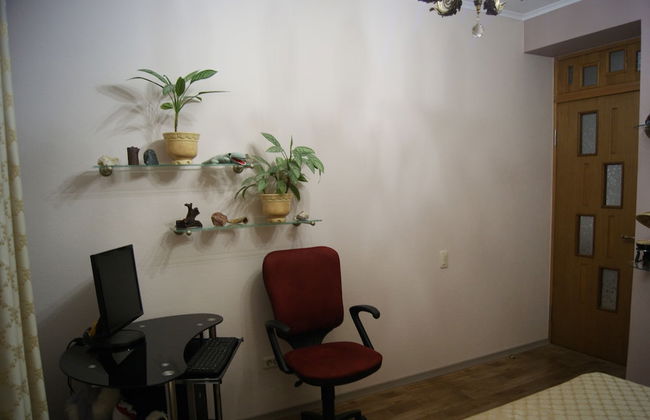 Apartment on Radischeva 23 apt 20 - Photo 18