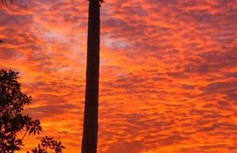 Private Pool Oasis - Upgraded 5BR Luxury VIlla - Photo 4