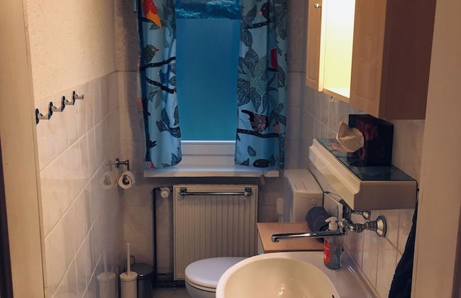 Ferienhaus Mirow-Lärz - Kamin Wald Ruhe - Foto 20