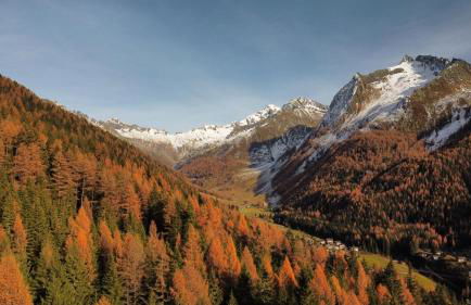 Klaus Prettau - Foto 34