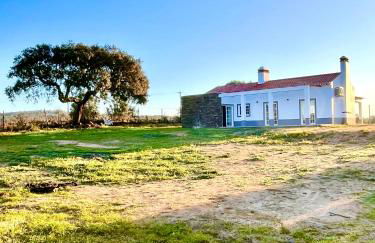 Monte da Lebrinha - Foto 1