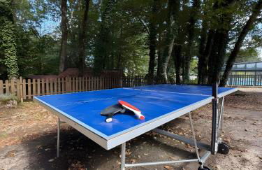 Mobil-home Le Castelnaud 21- 5 pers - Foto 7